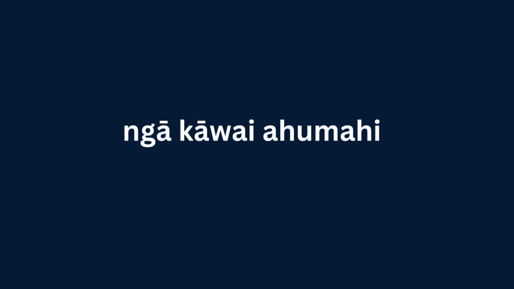 tangata ngaio me te rarangi Īmēra ahumahi